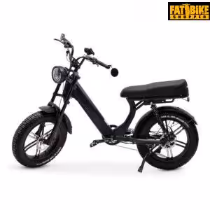 Home 4 Fatbike Shopper Ape Ryder MD10 Premium