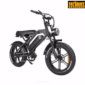 Home 1 Fatbike Shopper V20 pro full options