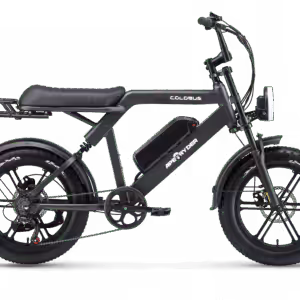 Ape Ryder Colobus Premium E-bike - Hoogwaardige Elektrische Fiets
