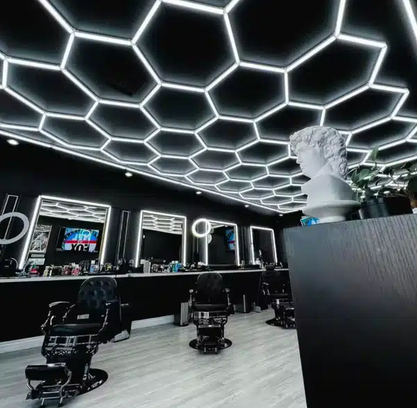 Havena Hexagon Led Verlichting | Visgraat Led Voor Kappers Barbers Garages  Werkplaatsen  Visgraat  Groot  Kwaliteit  Fatbike Shopper  Fatbike Shopper Havena Hexagon Led Verlichting | Visgraat Led Voor Kappers Barbers Garages  Werkplaatsen  Visgraat  Groot  Kwaliteit   Fatbike Shopper   Fatbike Shopper