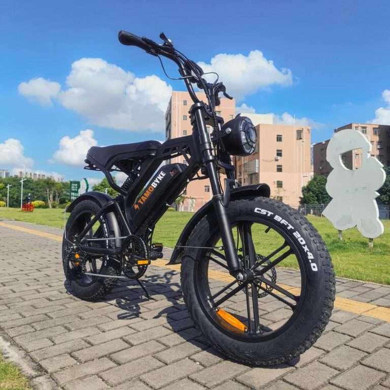 Waar Op Te Letten Bij Het Kopen Van Een Fatbike Complete Koopgids 2025   Fatbike Shopper   Fatbike Shopper